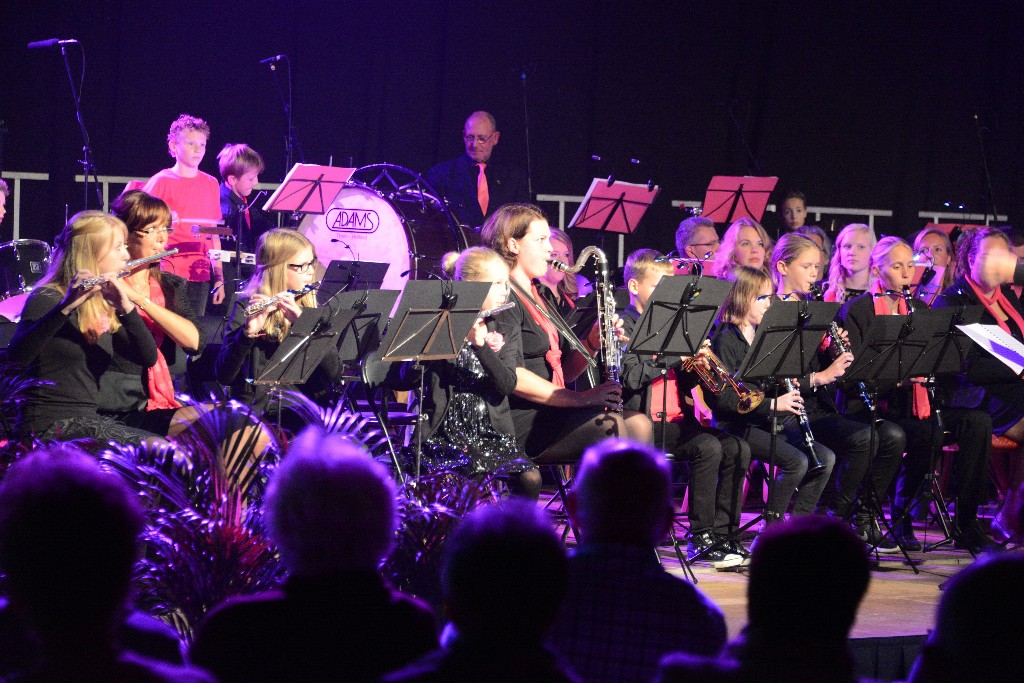 ../Images/Jubileumconcert 100 jaar Harpe Davids 128.jpg